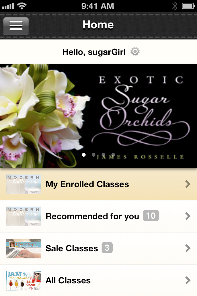 iPhone Screenshot 1